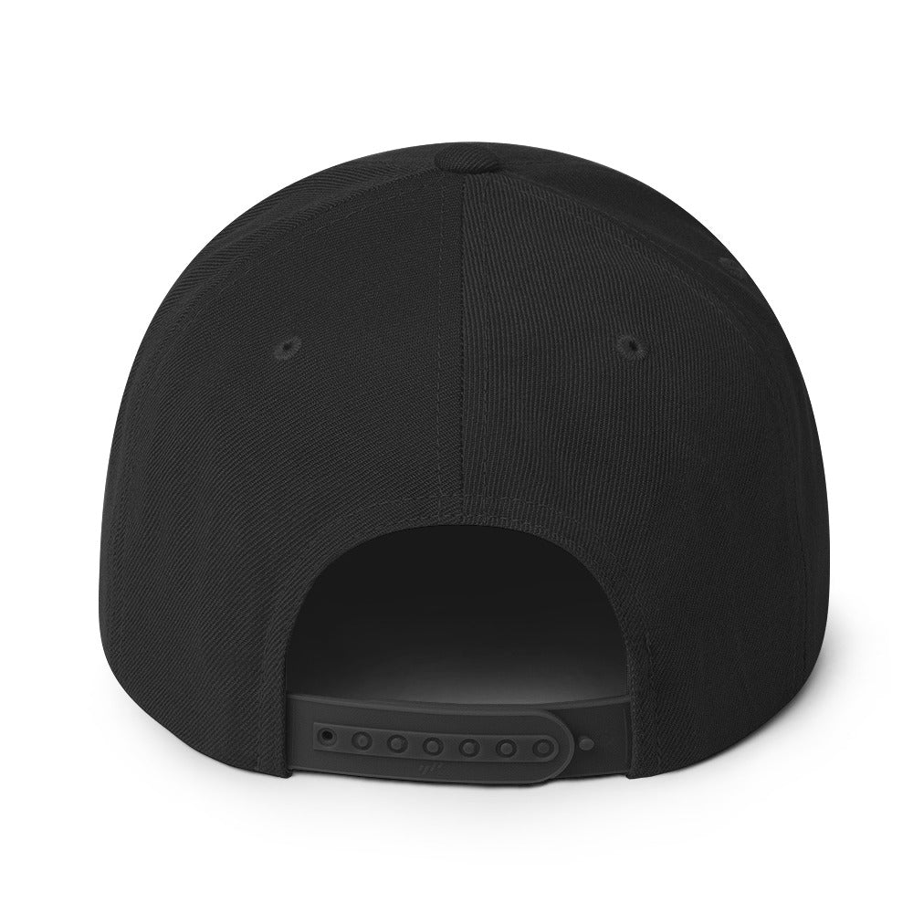 SKI VILLAINS - Flat bill Hat