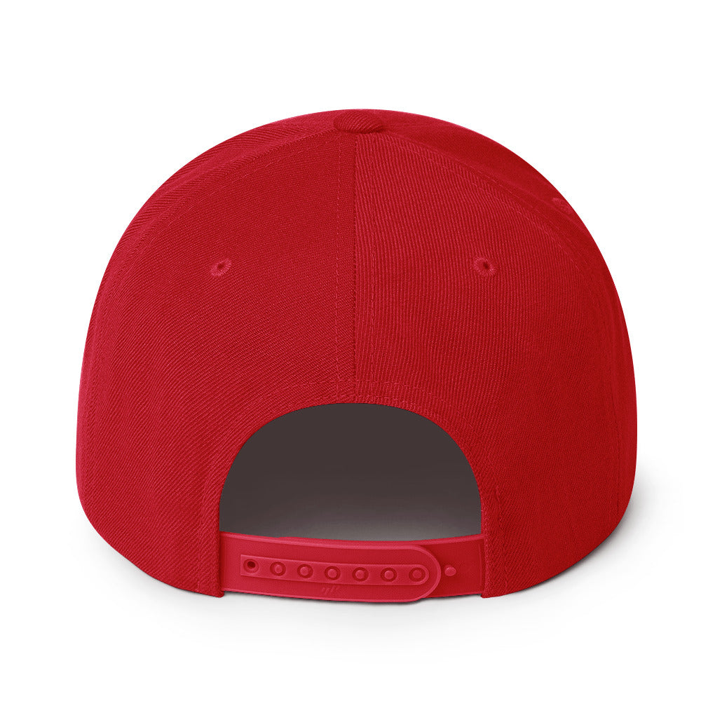 SKI VILLAINS - Flat bill Hat